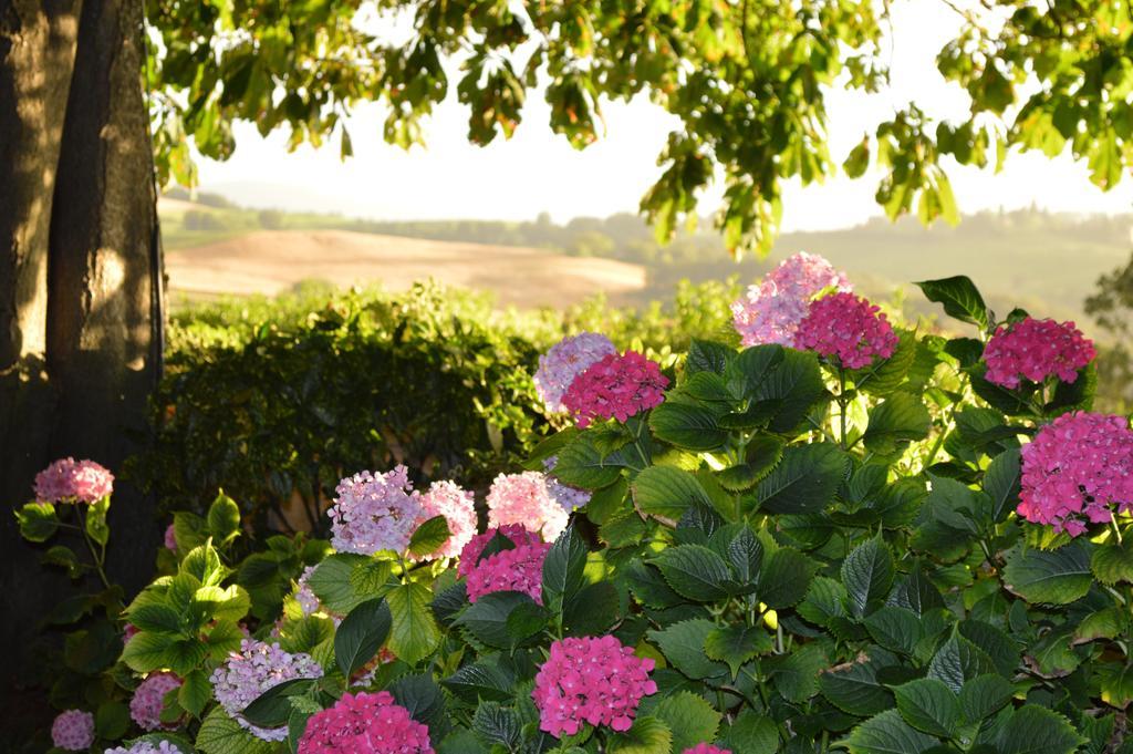 Agriturismo Cavazzone Regnano  Exteriér fotografie